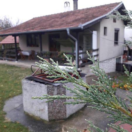 Galerija Jovanovic Topola Luaran gambar